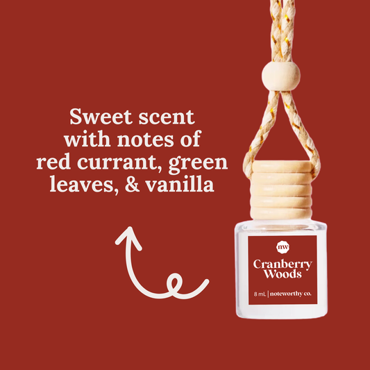 Car Diffusers - Holiday Scents