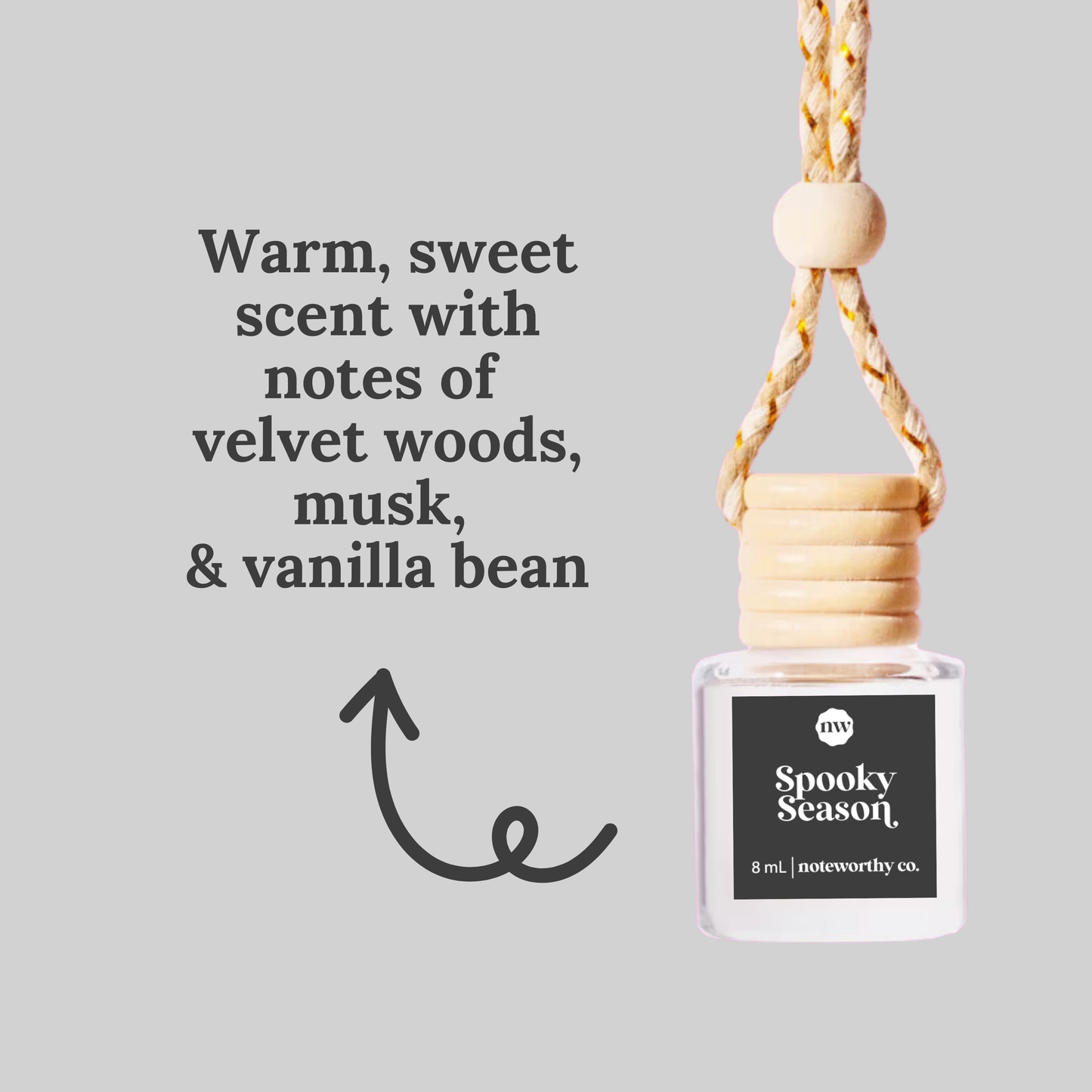 Car Diffusers | NEW Fall + Halloween Scents: Individual Mylar Bag / Crackling Birch