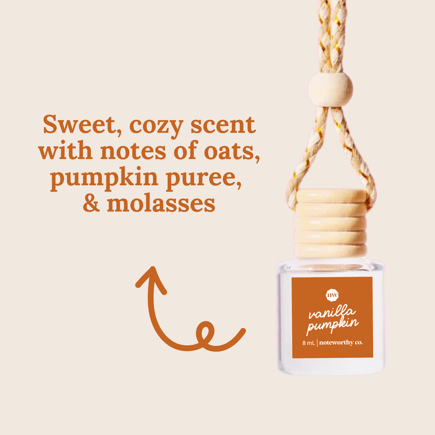 Car Diffusers | NEW Fall + Halloween Scents: Individual Mylar Bag / Crackling Birch