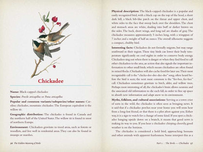 Hidden Meaning of Birds--A Spiritual Field Guide by Arin Murphy-Hiscock