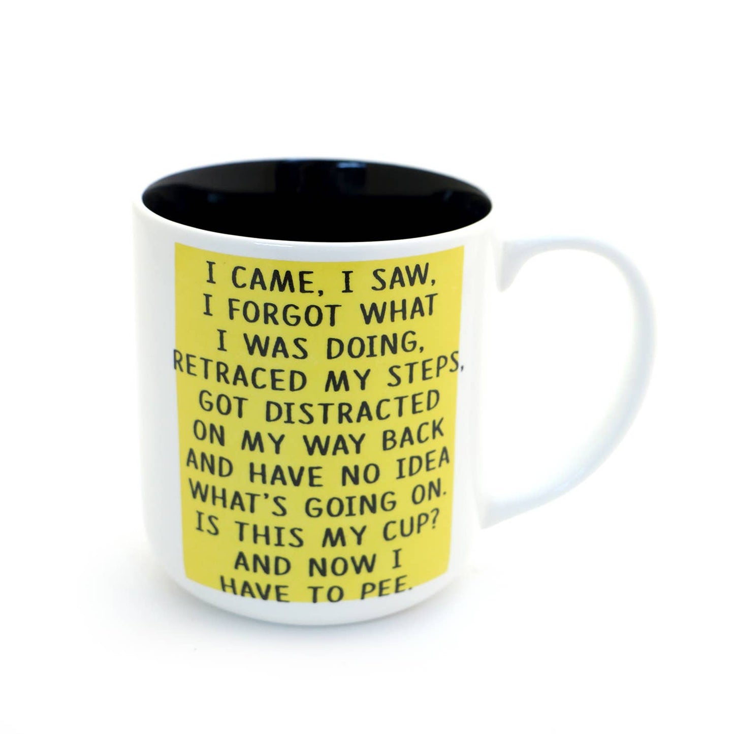 I Came I Saw Adulting Mug