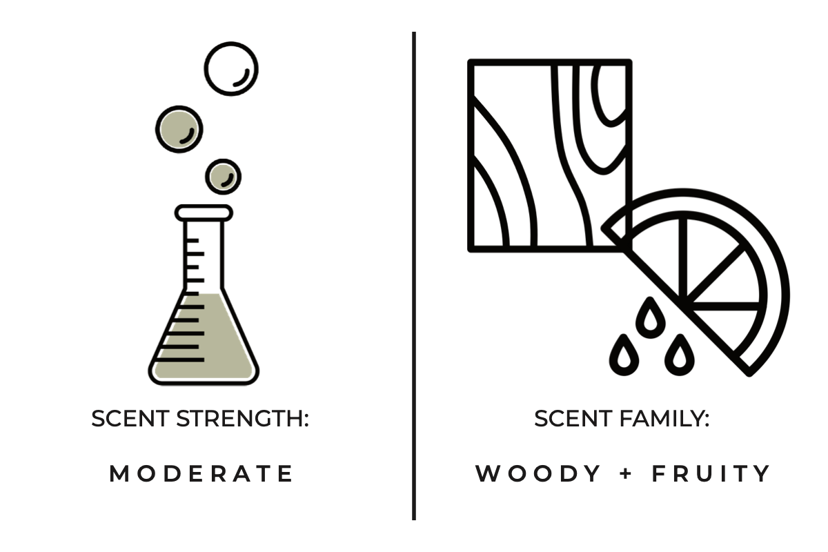 Stargazing Reed Diffuser