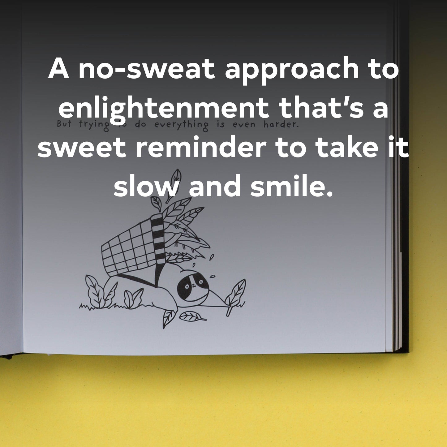 A Sloth's Guide to Mindfulness