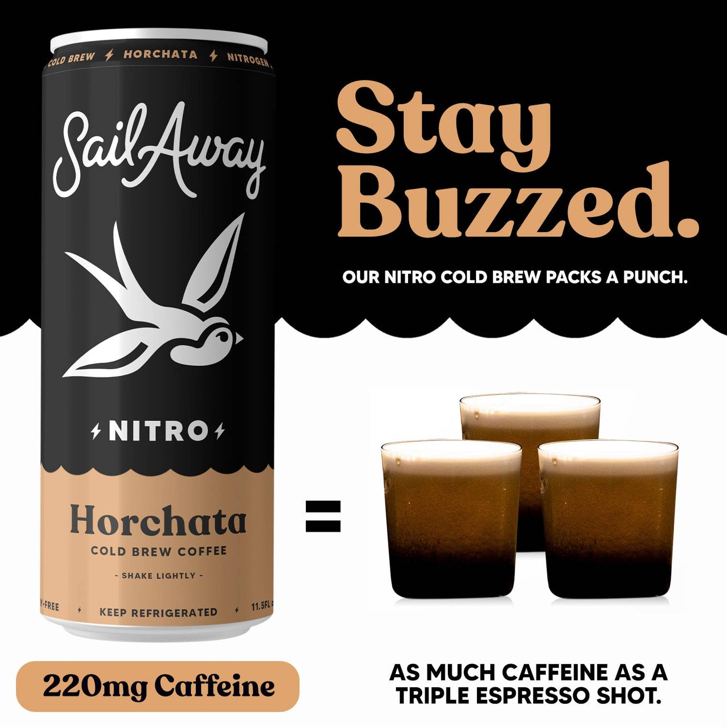 Cold Brew Coffee Cans - Vanilla & Cinnamon