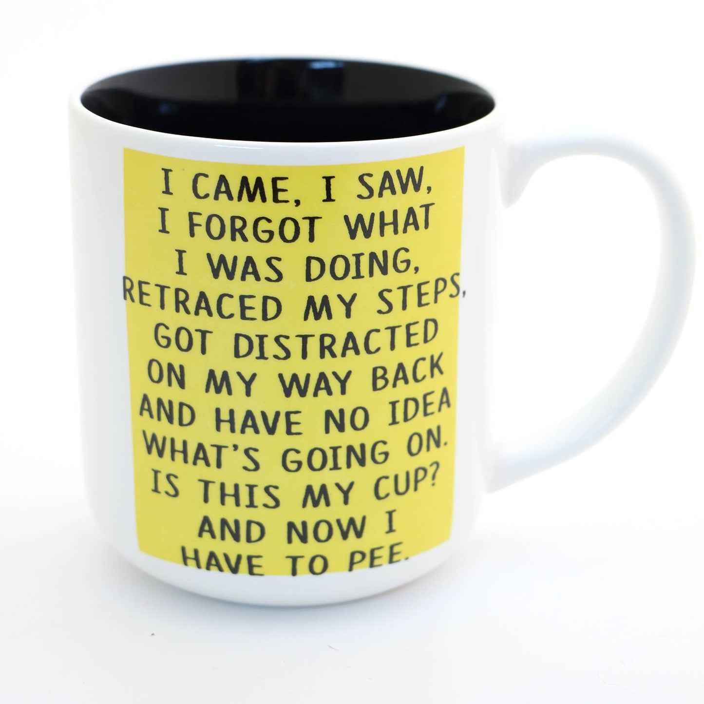 I Came I Saw Adulting Mug
