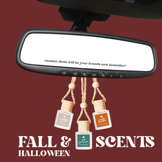 Car Diffusers | NEW Fall + Halloween Scents: Individual Mylar Bag / Crackling Birch