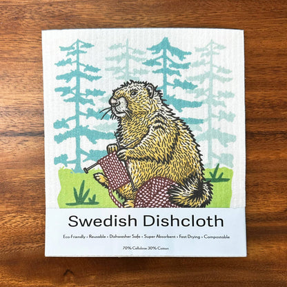 Cute Knitting Swedish Dishcloth