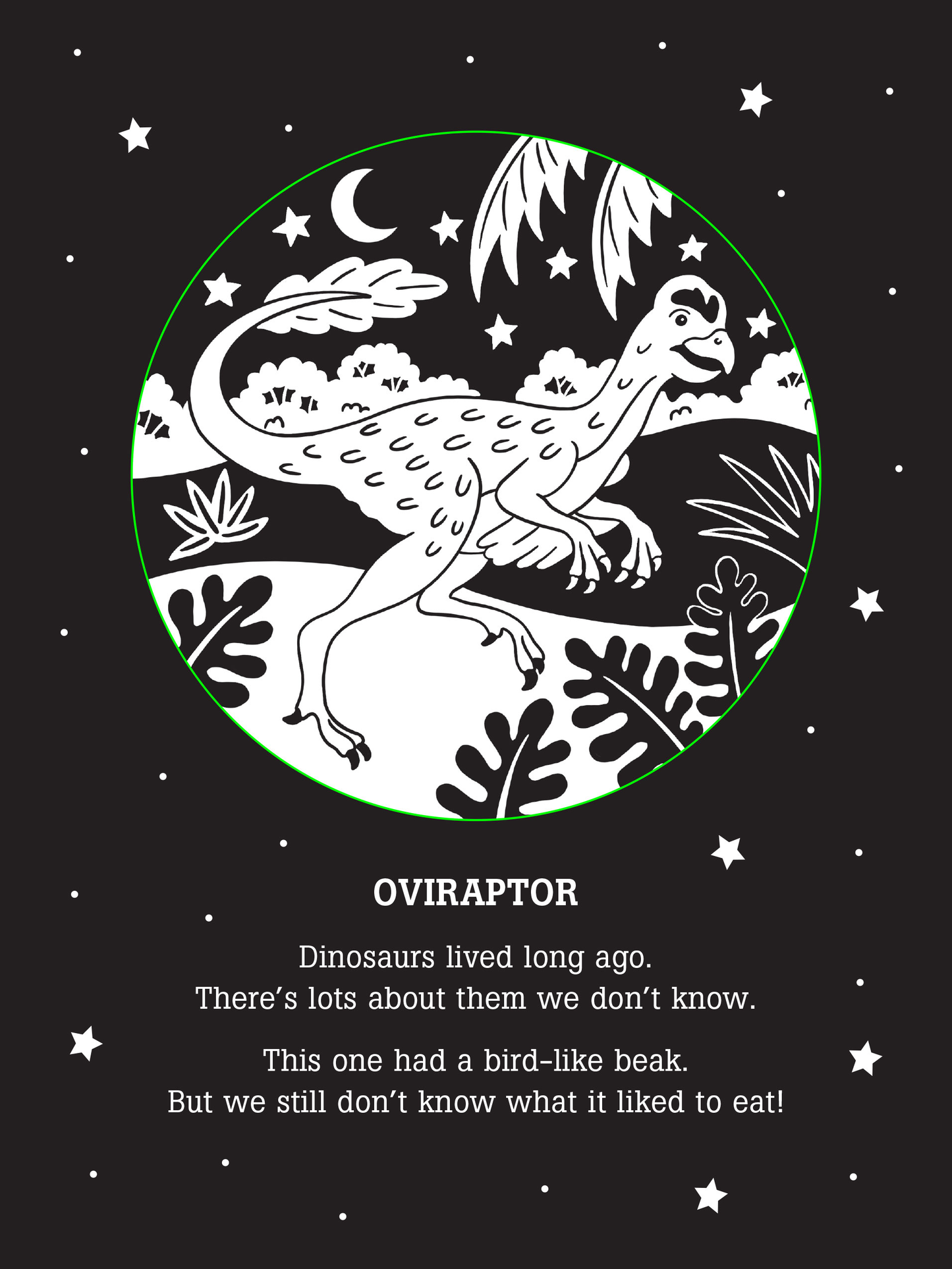 Dinos After Dark,Dinos After Dark