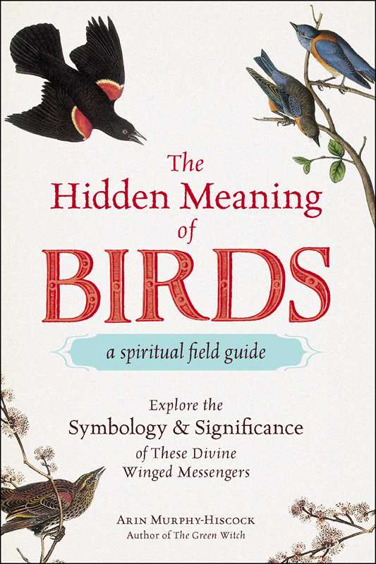 Hidden Meaning of Birds--A Spiritual Field Guide by Arin Murphy-Hiscock