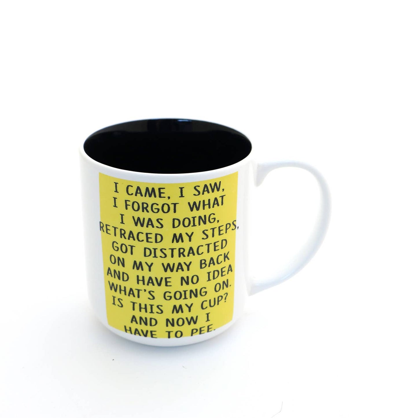 I Came I Saw Adulting Mug