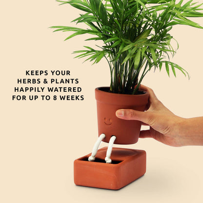 Self Care Planter | Self Watering Plant Pot