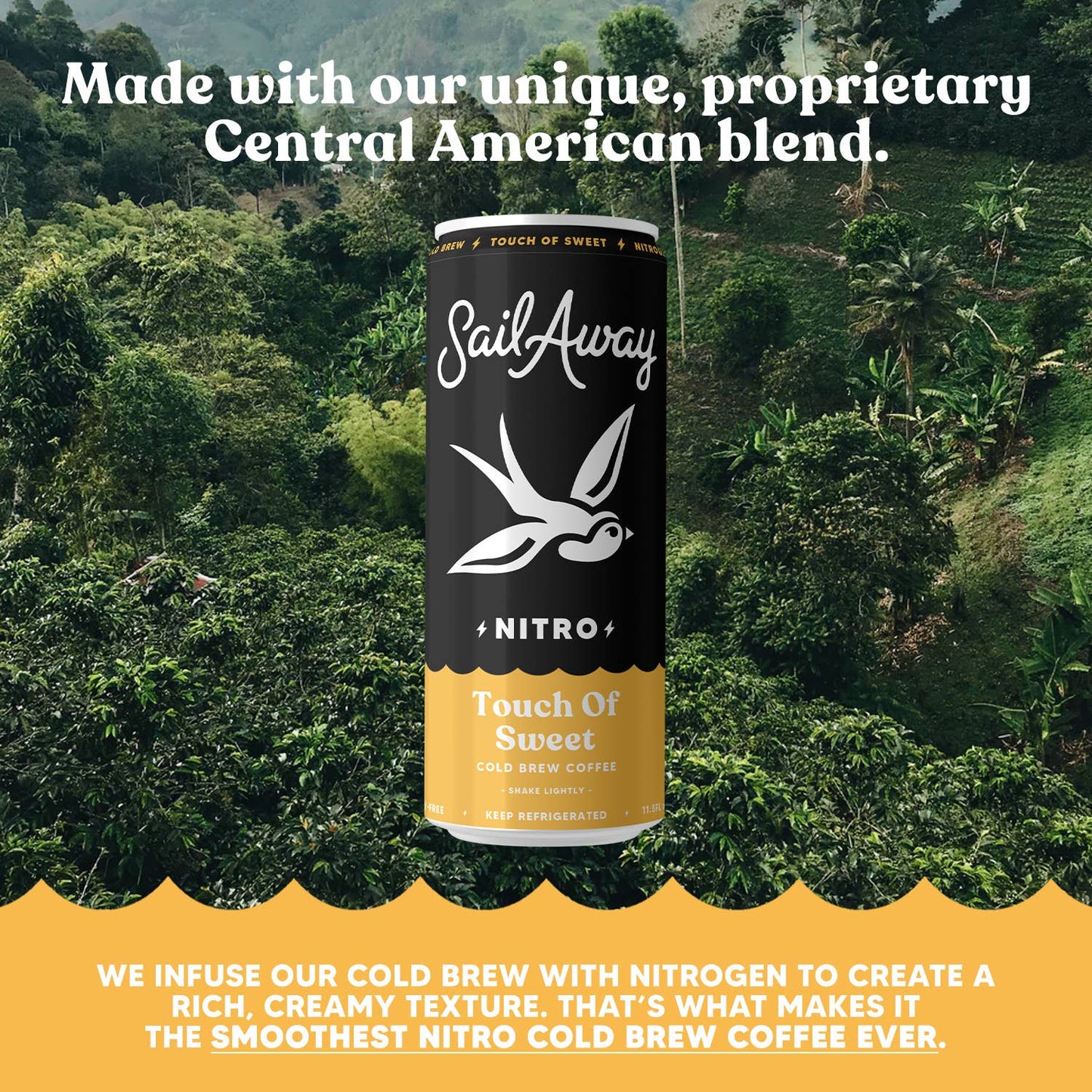 Cold Brew Coffee Cans - Touch of Sweet