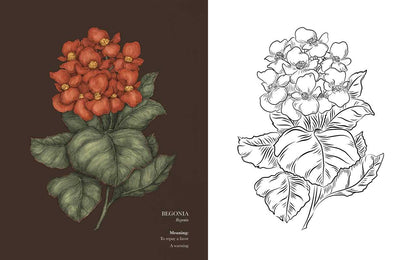 Floriography Coloring Book by Jessica Roux
