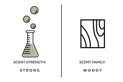 Woods Candle