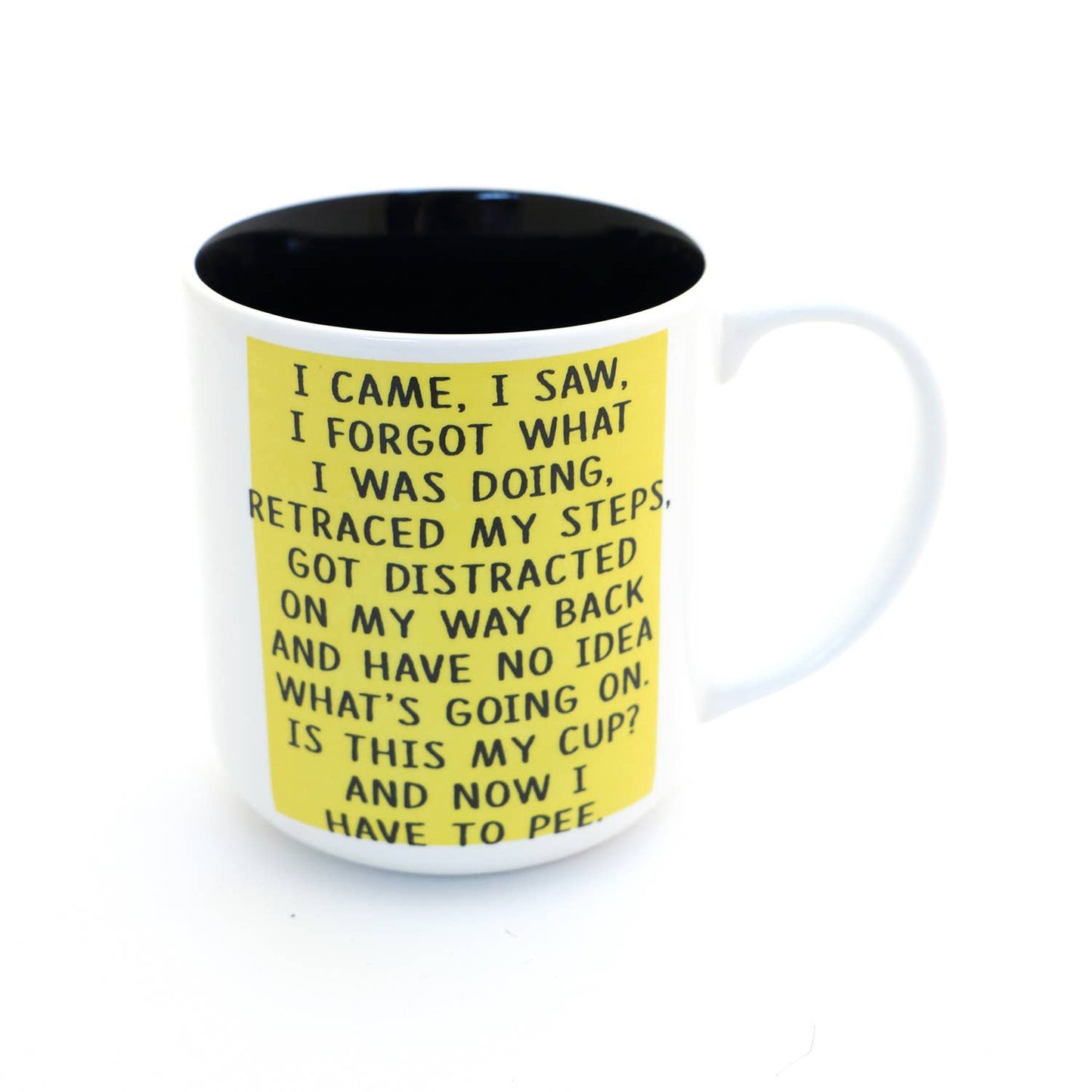 I Came I Saw Adulting Mug