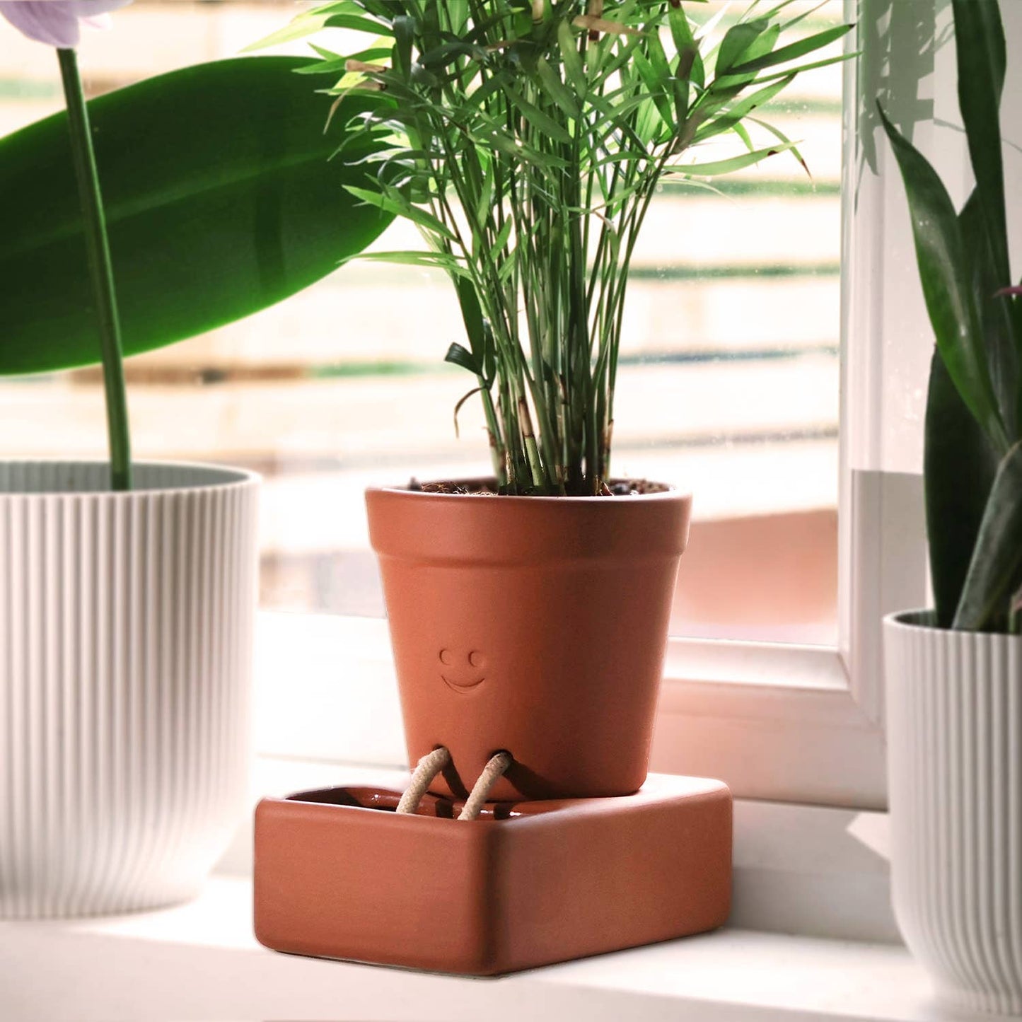 Self Care Planter | Self Watering Plant Pot