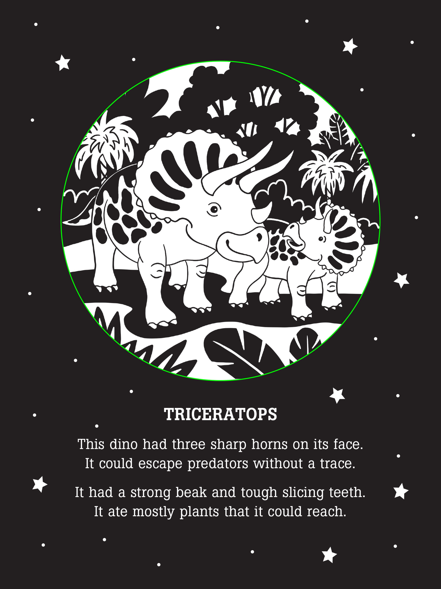 Dinos After Dark,Dinos After Dark