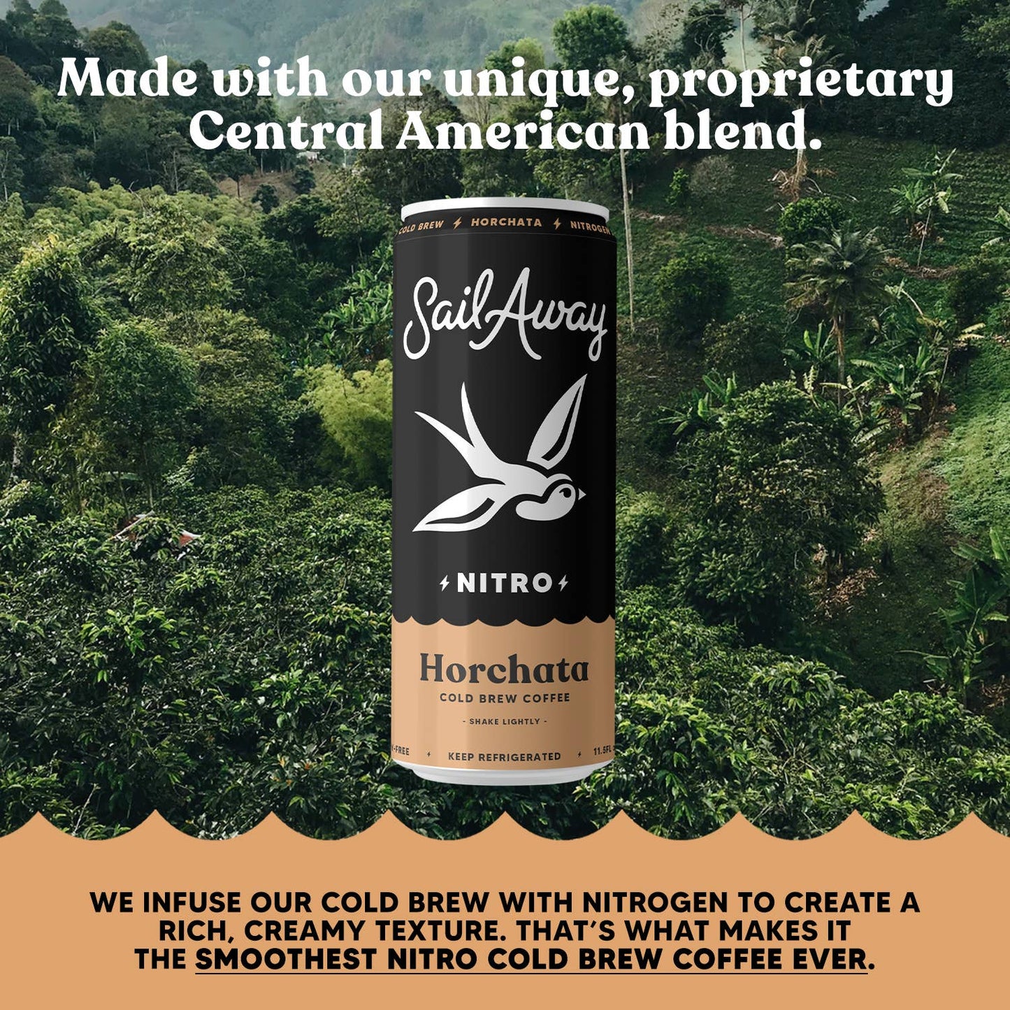Cold Brew Coffee Cans - Vanilla & Cinnamon